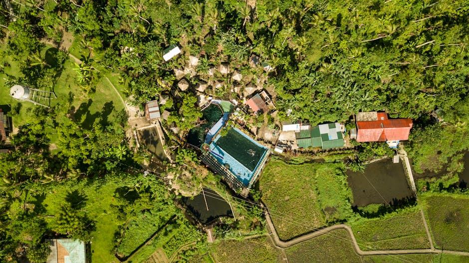 Construction piscine écologique : étapes, coût et durée
